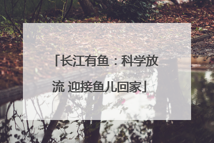 长江有鱼：科学放流 迎接鱼儿回家