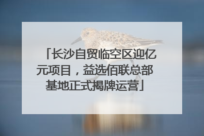 长沙自贸临空区迎亿元项目，益选佰联总部基地正式揭牌运营