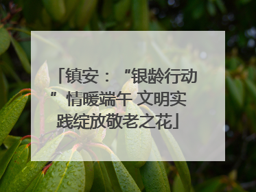 镇安：“银龄行动”情暖端午 文明实践绽放敬老之花