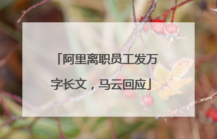 阿里离职员工发万字长文，马云回应