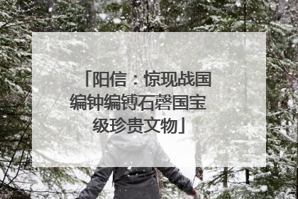 阳信：惊现战国编钟编镈石磬国宝级珍贵文物