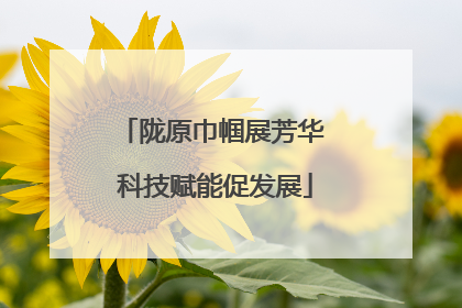 陇原巾帼展芳华 科技赋能促发展