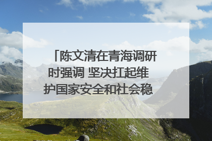 陈文清在青海调研时强调 坚决扛起维护国家安全和社会稳定职责使命 为谱写中国式现代化青海篇章贡献政法力量