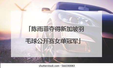 陈雨菲夺得新加坡羽毛球公开赛女单冠军