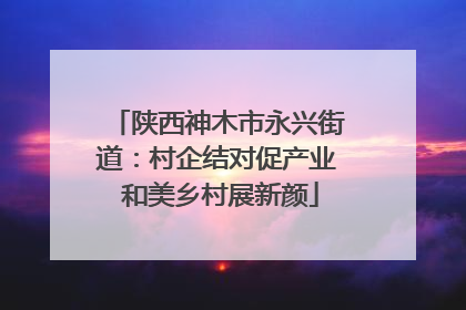 陕西神木市永兴街道：村企结对促产业 和美乡村展新颜