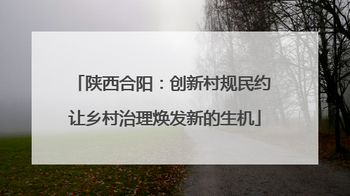 陕西合阳：创新村规民约让乡村治理焕发新的生机