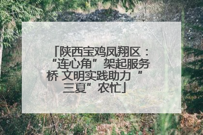 陕西宝鸡凤翔区：“连心角”架起服务桥 文明实践助力“三夏”农忙