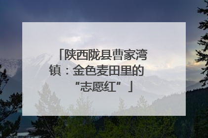 陕西陇县曹家湾镇：金色麦田里的“志愿红”