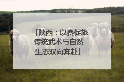 陕西：以赛促旅 传统武术与自然生态双向奔赴