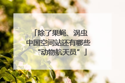 除了果蝇、涡虫 中国空间站还有哪些“动物航天员”