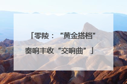 零陵：“黄金搭档”奏响丰收“交响曲”