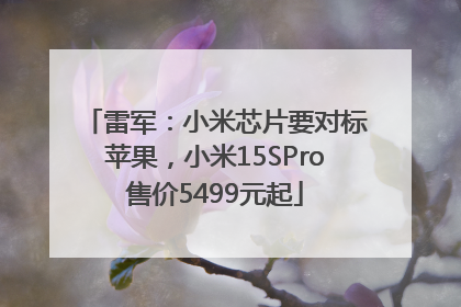 雷军：小米芯片要对标苹果，小米15SPro售价5499元起
