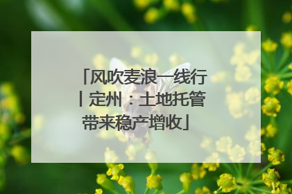 风吹麦浪一线行丨定州：土地托管带来稳产增收