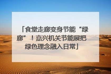 食堂走廊变身节能“绿廊”！嘉兴机关节能展把绿色理念融入日常
