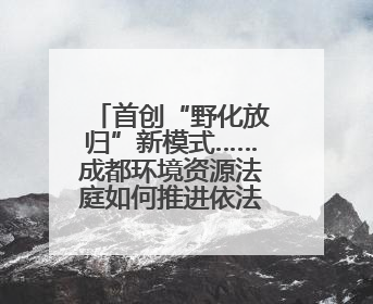 首创“野化放归”新模式……成都环境资源法庭如何推进依法筑牢长江上游生态屏障