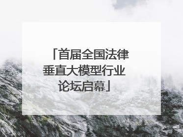 首届全国法律垂直大模型行业论坛启幕