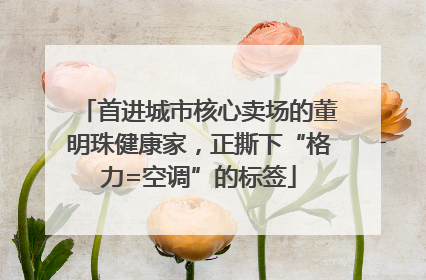 首进城市核心卖场的董明珠健康家，正撕下“格力=空调”的标签