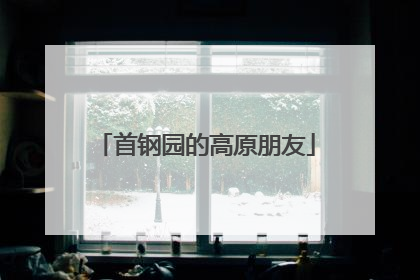 首钢园的高原朋友