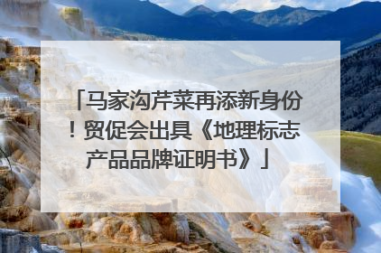 马家沟芹菜再添新身份！贸促会出具《地理标志产品品牌证明书》