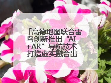 高德地图联合雷鸟创新推出“AI+AR”导航技术 打造虚实融合出行新体验