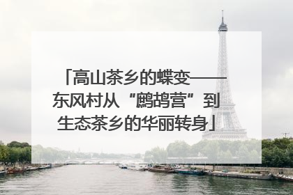 高山茶乡的蝶变——东风村从“鹧鸪营”到生态茶乡的华丽转身