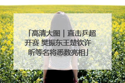 高清大图｜直击乒超开赛 樊振东王楚钦许昕等名将悉数亮相