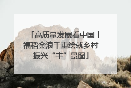 高质量发展看中国丨福稻金浪千重绘就乡村振兴“丰”景图