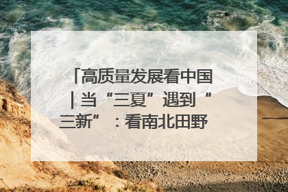 高质量发展看中国｜当“三夏”遇到“三新”：看南北田野里的科技共生记