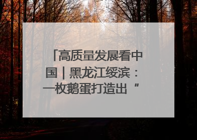高质量发展看中国｜黑龙江绥滨：一枚鹅蛋打造出“产业图腾”