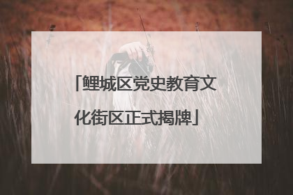 鲤城区党史教育文化街区正式揭牌