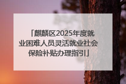 麒麟区2025年度就业困难人员灵活就业社会保险补贴办理指引