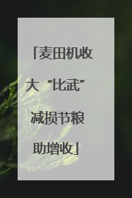 麦田机收大“比武” 减损节粮助增收