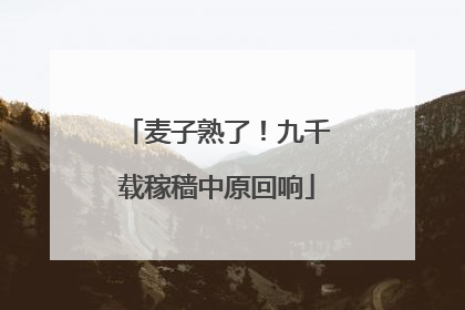麦子熟了！九千载稼穑中原回响