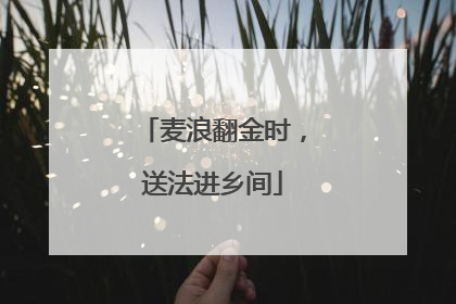 麦浪翻金时，送法进乡间