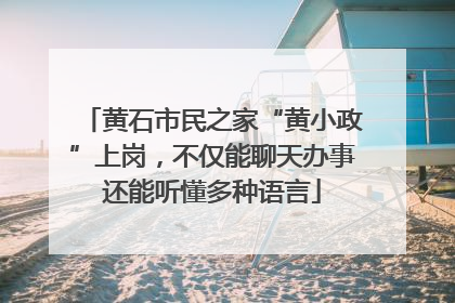 黄石市民之家“黄小政”上岗，不仅能聊天办事还能听懂多种语言