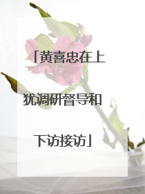 黄喜忠在上犹调研督导和下访接访