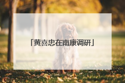 黄喜忠在南康调研