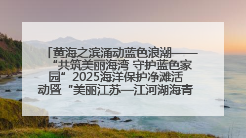 黄海之滨涌动蓝色浪潮——“共筑美丽海湾 守护蓝色家园”2025海洋保护净滩活动暨“美丽江苏—江河湖海青蓝行”海洋篇在连云港举行