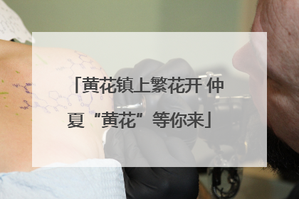 黄花镇上繁花开 仲夏“黄花”等你来