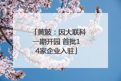 黄陂：因大联科一期开园 首批14家企业入驻