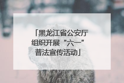 黑龙江省公安厅组织开展“六一”普法宣传活动
