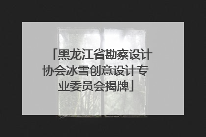 黑龙江省勘察设计协会冰雪创意设计专业委员会揭牌