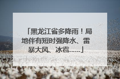 黑龙江省多降雨！局地伴有短时强降水、雷暴大风、冰雹……