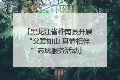 黑龙江省桦南县开展“父爱如山 真情相伴”志愿服务活动