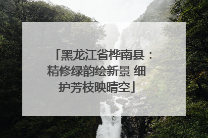 黑龙江省桦南县：精修绿韵绘新景 细护芳枝映晴空