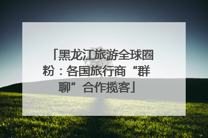 黑龙江旅游全球圈粉：各国旅行商“群聊”合作揽客