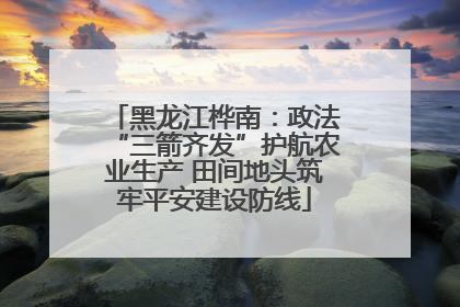 黑龙江桦南：政法“三箭齐发”护航农业生产 田间地头筑牢平安建设防线