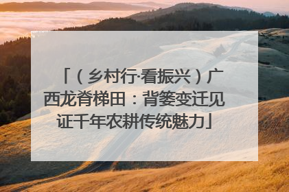 （乡村行·看振兴）广西龙脊梯田：背篓变迁见证千年农耕传统魅力