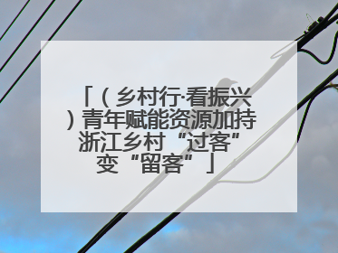 （乡村行·看振兴）青年赋能资源加持 浙江乡村“过客”变“留客”