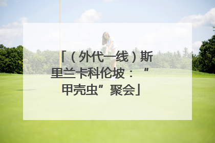 （外代一线）斯里兰卡科伦坡：“甲壳虫”聚会